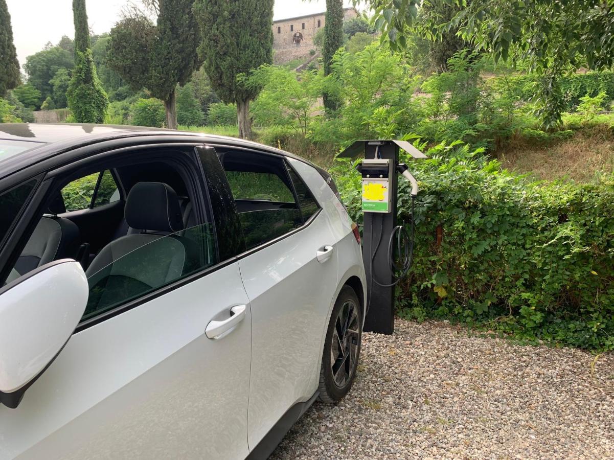 L'Isolo B&B E Case Vacanza Monzambano Zewnętrze zdjęcie