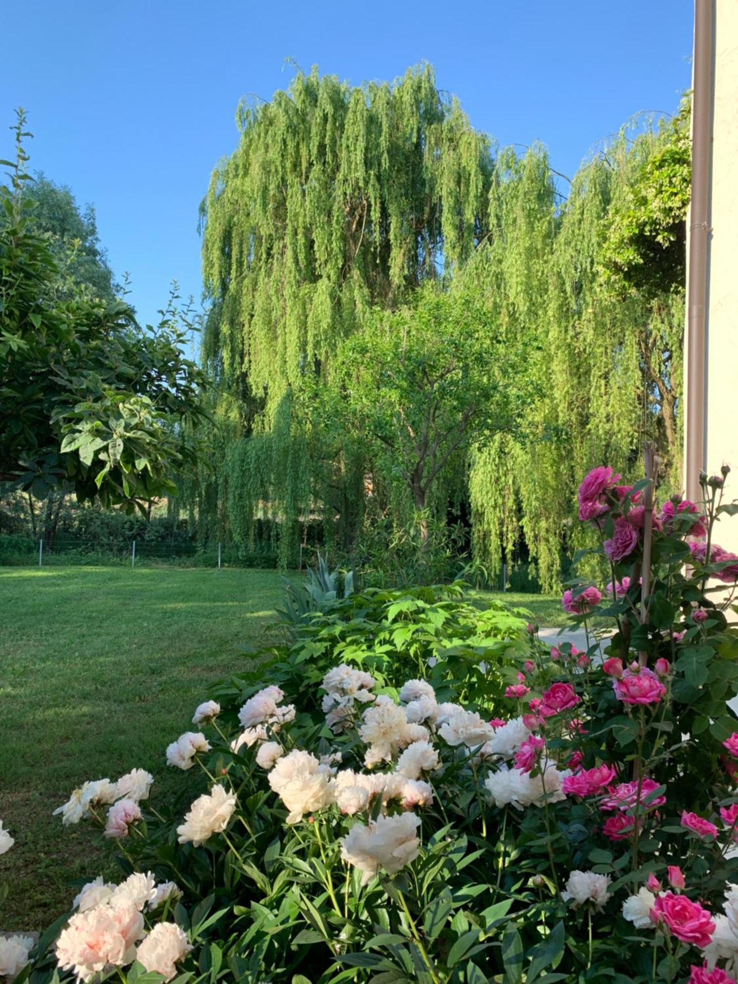 L'Isolo B&B E Case Vacanza Monzambano Zewnętrze zdjęcie