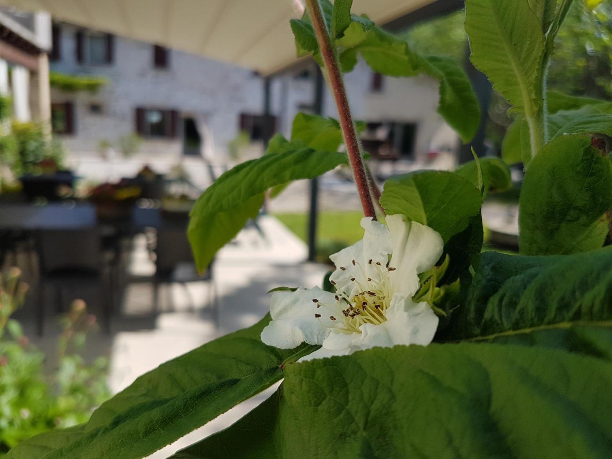 L'Isolo B&B E Case Vacanza Monzambano Zewnętrze zdjęcie